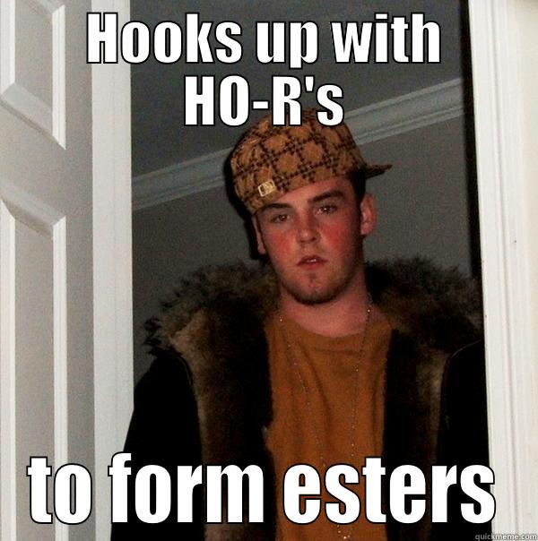 HOOKS UP WITH HO-R'S TO FORM ESTERS Scumbag Steve