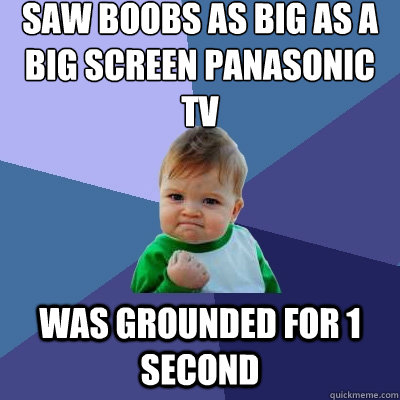 saw boobs as big as a big screen Panasonic tv was grounded for 1 second  Success Kid