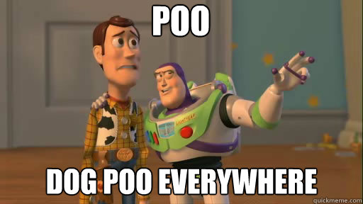 POO Dog poo everywhere  Everywhere