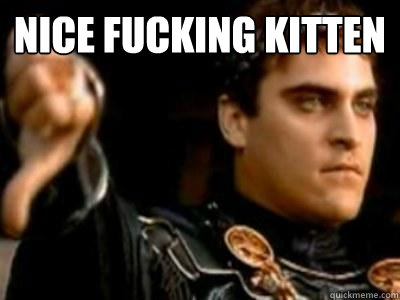 Nice fucking kitten   Downvoting Roman