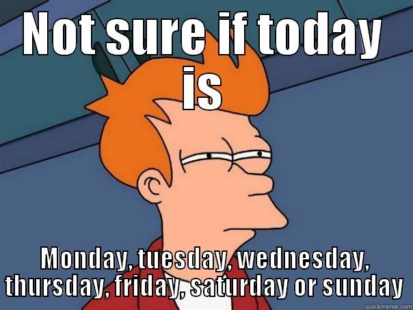 NOT SURE IF TODAY IS MONDAY, TUESDAY, WEDNESDAY, THURSDAY, FRIDAY, SATURDAY OR SUNDAY Futurama Fry