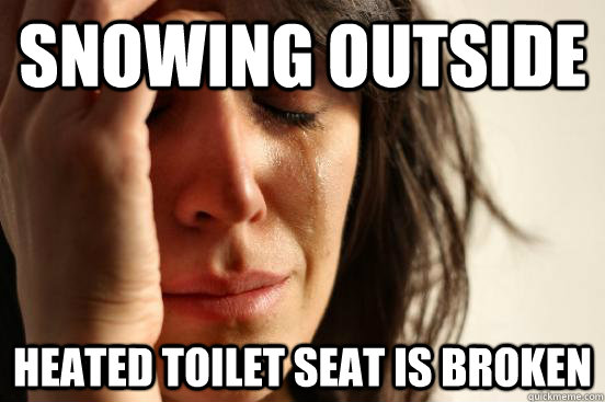 Snowing outside Heated toilet seat is broken - Snowing outside Heated toilet seat is broken  First World Problems