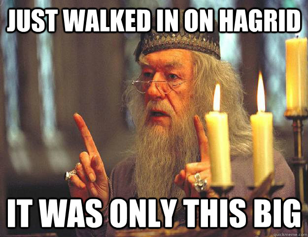 just walked in on hagrid it was only this big - just walked in on hagrid it was only this big  Scumbag Dumbledore