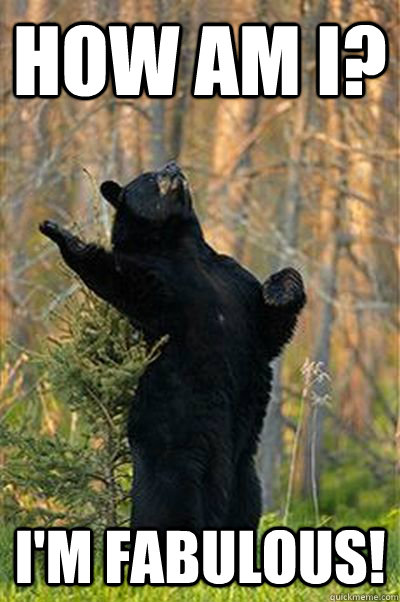 How am I? I'm FABULOUS! - How am I? I'm FABULOUS!  Fabulous Bear