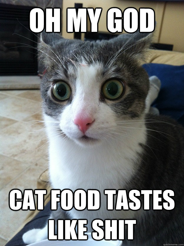 oh my god cat food tastes like shit - oh my god cat food tastes like shit  Sudden Clarity Cat