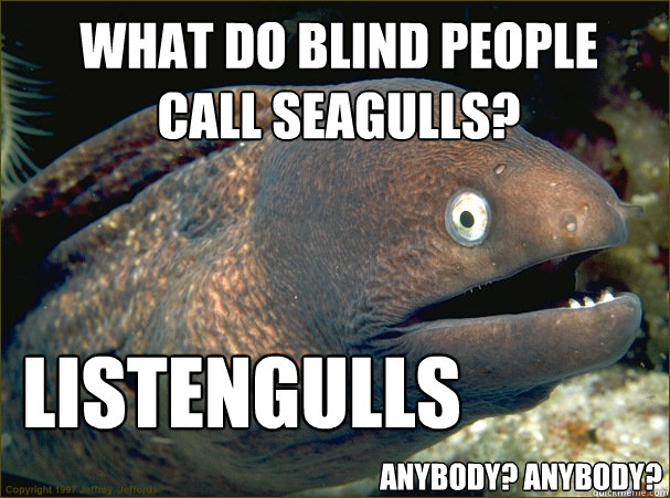 WHAT DO BLIND PEOPLE CALL SEAGULLS? LISTENGULLS       ANYBODY? ANYBODY?  Bad Joke Eel