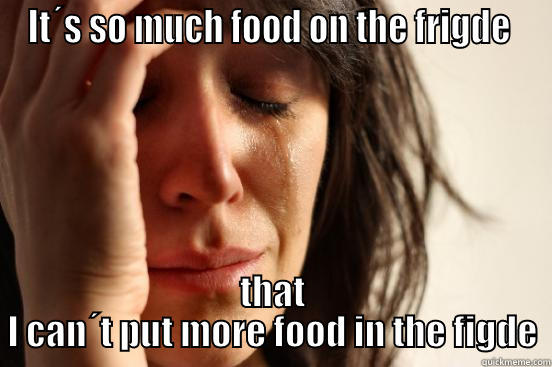 IT´S SO MUCH FOOD ON THE FRIGDE  THAT I CAN´T PUT MORE FOOD IN THE FIGDE First World Problems