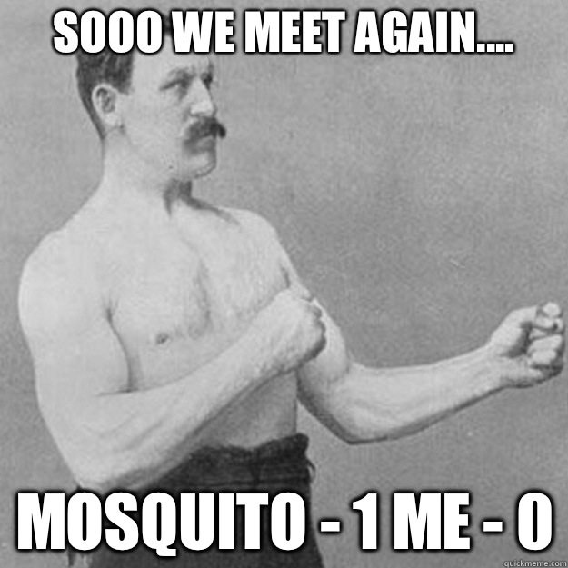 Sooo we meet again.... Mosquito - 1 Me - 0   overly manly man