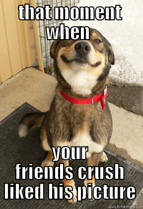 THAT MOMENT WHEN  YOUR FRIENDS CRUSH LIKED HIS PICTURE Good Dog Greg