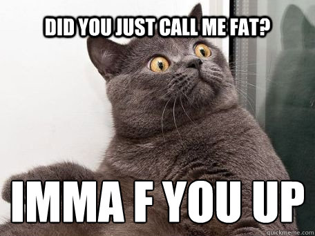 Did you just call me fat?  IMMA F YOU UP 
  conspiracy cat
