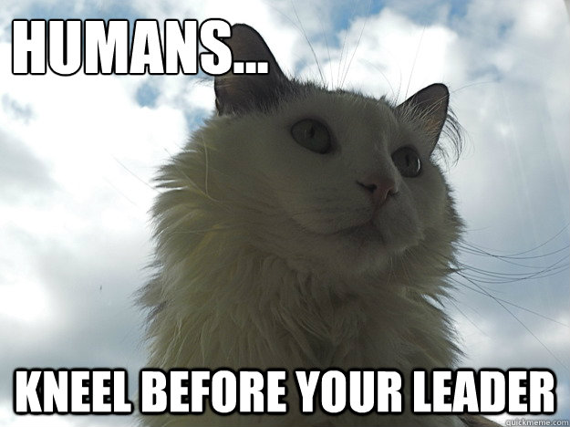 Humans... kneel before your leader  