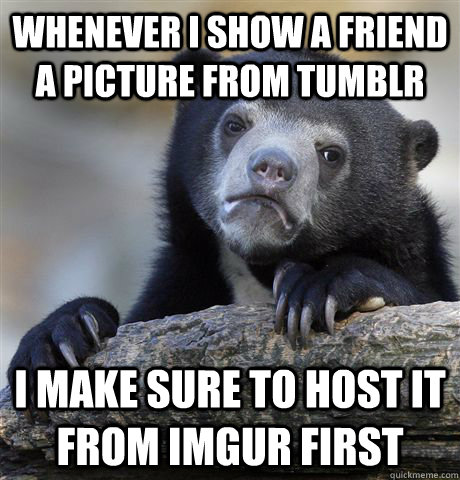 whenever i show a friend a picture from tumblr i make sure to host it from imgur first - whenever i show a friend a picture from tumblr i make sure to host it from imgur first  Confession Bear