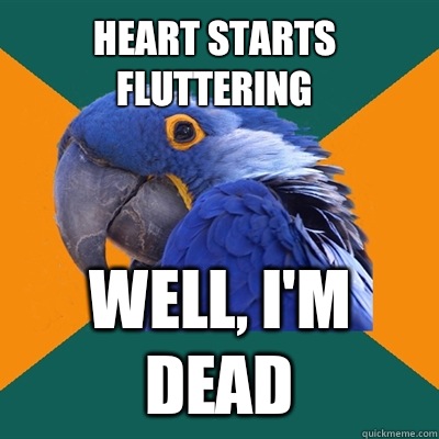 Heart starts fluttering  Well, I'm dead  Paranoid Parrot