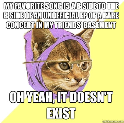 my favorite song is a b side to the b side of an unofficial ep of a rare concert in my friends' basement oh yeah, it doesn't exist  Hipster Kitty