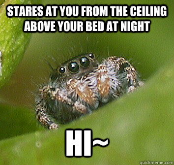 Stares at you from the ceiling above your bed at night Hi~ - Stares at you from the ceiling above your bed at night Hi~  Misunderstood Spider