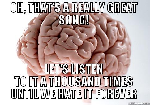 Happens all the time - OH, THAT'S A REALLY GREAT SONG! LET'S LISTEN TO IT A THOUSAND TIMES UNTIL WE HATE IT FOREVER Scumbag Brain