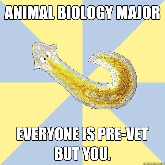 Animal Biology Major Everyone is pre-vet but you. - Animal Biology Major Everyone is pre-vet but you.  Bio Major Planarian