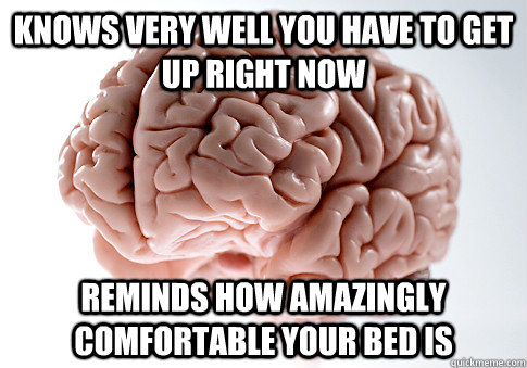 Knows very well you have to get up right now reminds how amazingly comfortable your bed is  Scumbag Brain