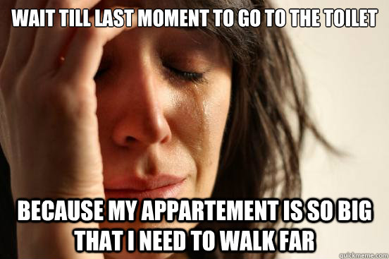 Wait till last moment to go to the toilet because my appartement is so big that i need to walk far  First World Problems