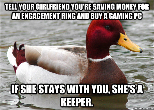 Tell your girlfriend you're saving money for an engagement ring and buy a gaming PC If she stays with you, she's a keeper.   Malicious Advice Mallard