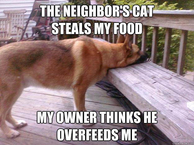 The neighbor's cat 
steals my food My owner thinks he 
overfeeds me  First World Dog problems