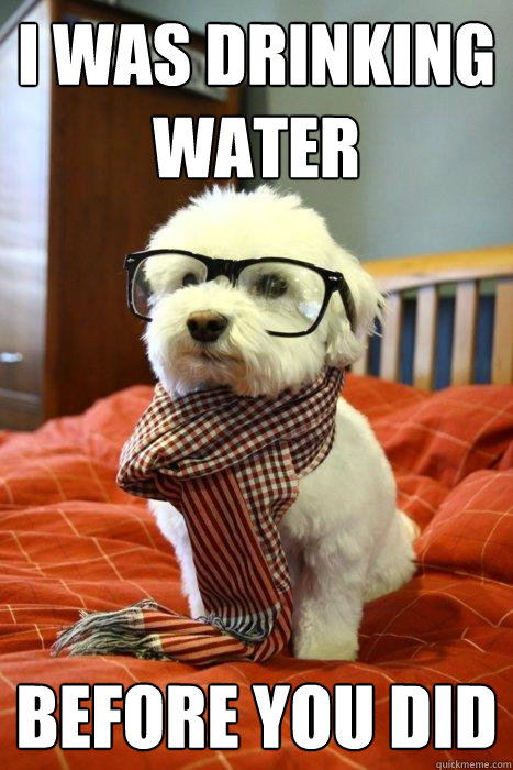 i was drinking water before you did  Hipster Dog