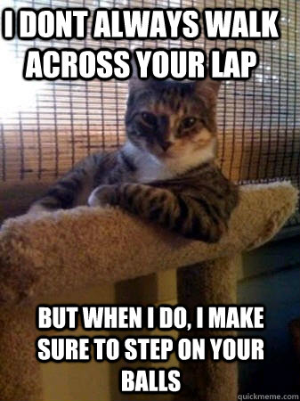I dont always walk across your lap but when I do, I make sure to step on your balls  The Most Interesting Cat in the World