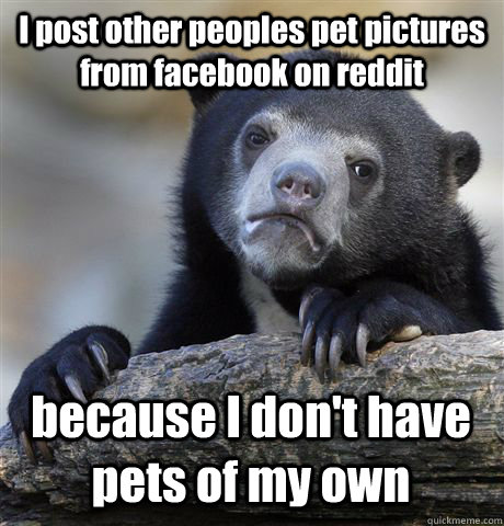 I post other peoples pet pictures from facebook on reddit because I don't have pets of my own  Confession Bear