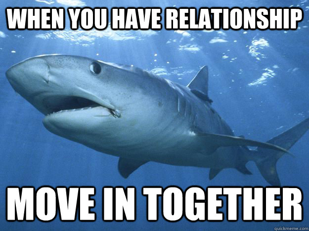 when you have relationship  Move in together - when you have relationship  Move in together  Shitty Life Pro-Tips Shark