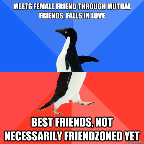 Meets female friend through mutual friends, falls in love Best friends, not necessarily friendzoned yet   Socially Awkward Awesome Penguin