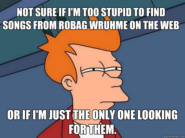 Not sure if i'm too stupid to find songs from Robag Wruhme on the web Or if I'm just the only one looking for them.  Futurama Fry