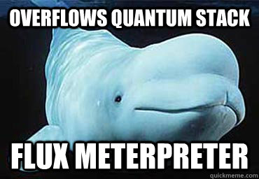 Overflows Quantum Stack Flux Meterpreter  Misbehavin Pocket Whale