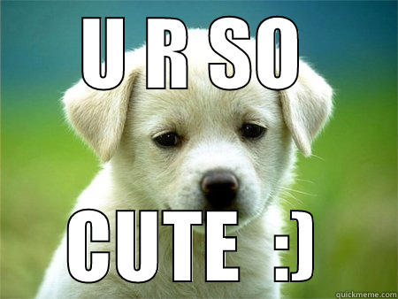 U R SO CUTE  :) Misc