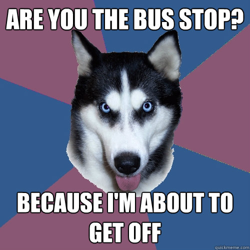 Are you the bus stop? Because I'm about to get off - Are you the bus stop? Because I'm about to get off  Creeper Canine