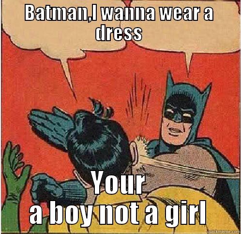 BATMAN,I WANNA WEAR A DRESS YOUR A BOY NOT A GIRL Batman Slapping Robin