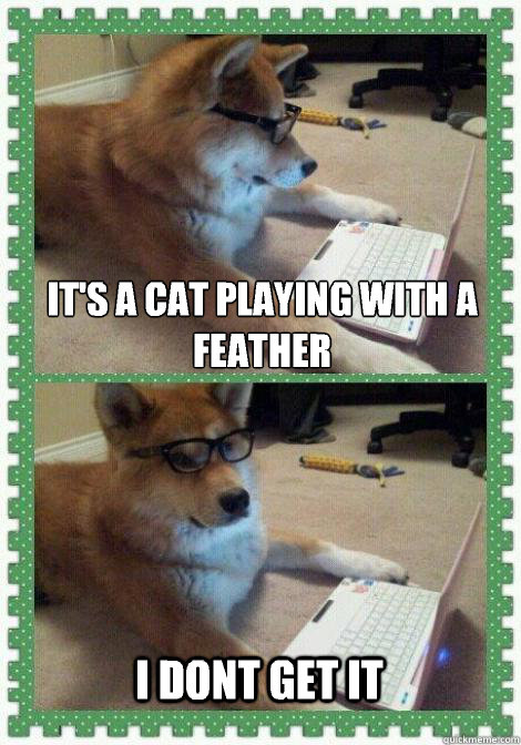 It's a cat playing with a feather I dont get it  