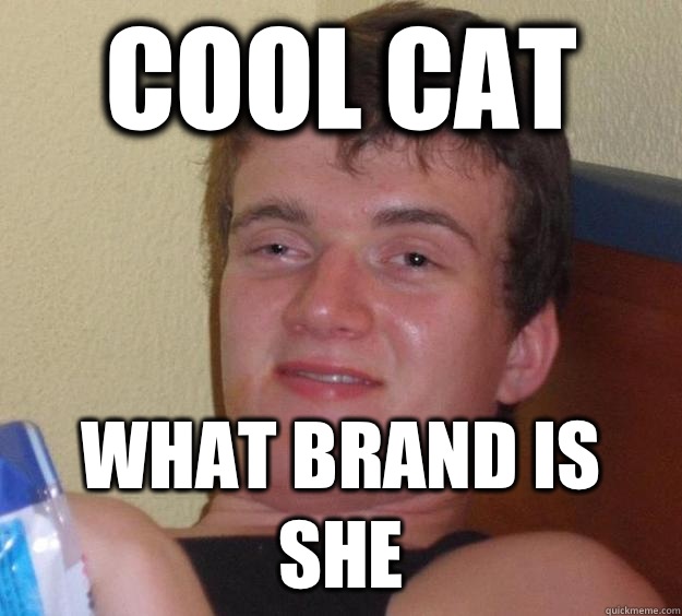 Cool cat What brand is she  10 Guy
