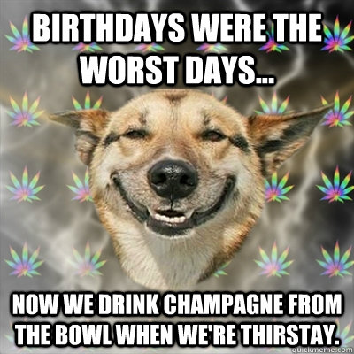 Birthdays were the worst days... Now we drink champagne from the bowl when we're thirstay. - Birthdays were the worst days... Now we drink champagne from the bowl when we're thirstay.  Stoner Dog