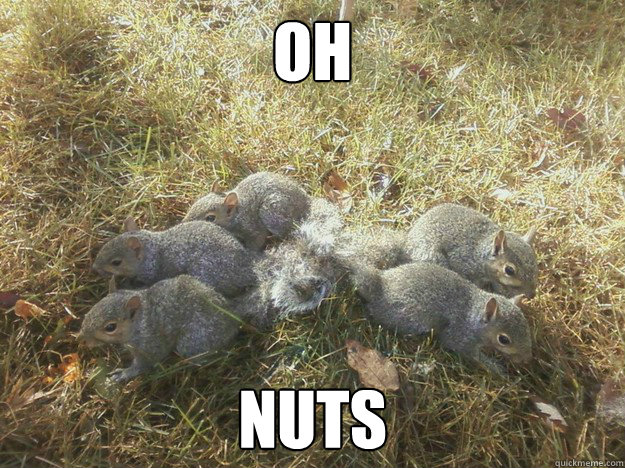 oh nuts - oh nuts  Squirrel Knot
