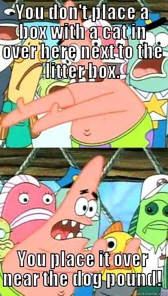 YOU DON'T PLACE A BOX WITH A CAT IN OVER HERE NEXT TO THE LITTER BOX. YOU PLACE IT OVER NEAR THE DOG POUND! Push it somewhere else Patrick