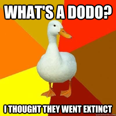 What's A DODO? I thought they went extinct  Tech Impaired Duck
