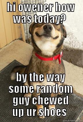 HI OWENER HOW WAS TODAY?  BY THE WAY SOME RANDOM GUY CHEWED UP UR SHOES  Good Dog Greg