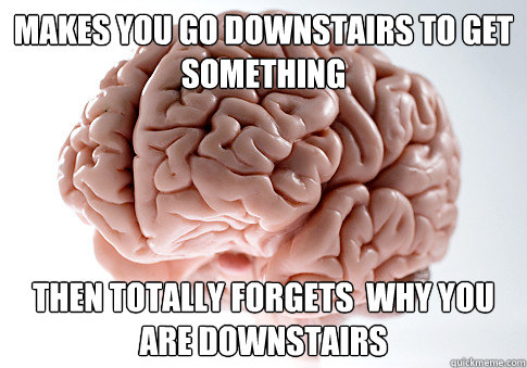 MAKES YOU GO DOWNSTAIRS TO GET SOMETHING THEN TOTALLY FORGETS  WHY YOU ARE DOWNSTAIRS  Scumbag Brain
