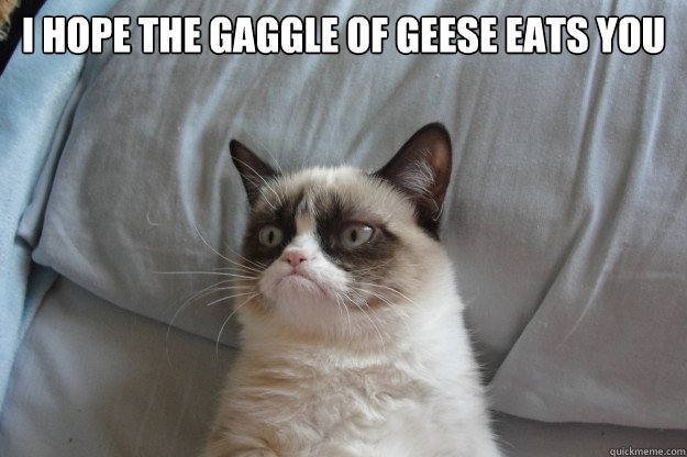 I hope the Gaggle of Geese eats you  - I hope the Gaggle of Geese eats you   GrumpyCatOL
