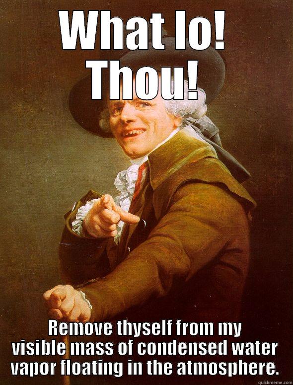 WHAT LO! THOU! REMOVE THYSELF FROM MY VISIBLE MASS OF CONDENSED WATER VAPOR FLOATING IN THE ATMOSPHERE. Joseph Ducreux