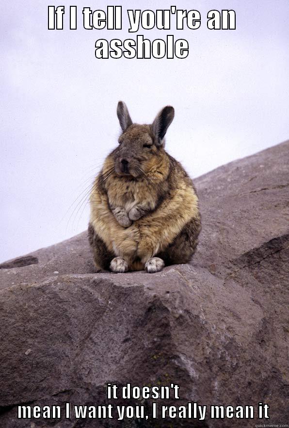 if I.... - IF I TELL YOU'RE AN ASSHOLE IT DOESN'T MEAN I WANT YOU, I REALLY MEAN IT Wise Wondering Viscacha