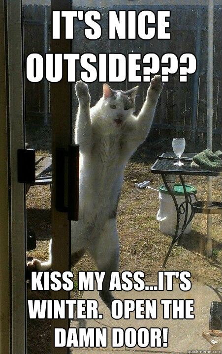 It's Nice outside??? Kiss my ass...it's winter.  open the damn door! - It's Nice outside??? Kiss my ass...it's winter.  open the damn door!  axlestalker