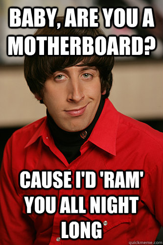 Baby, are you a motherboard? Cause I'd 'ram' you all night long - Baby, are you a motherboard? Cause I'd 'ram' you all night long  Howard Wolowitz