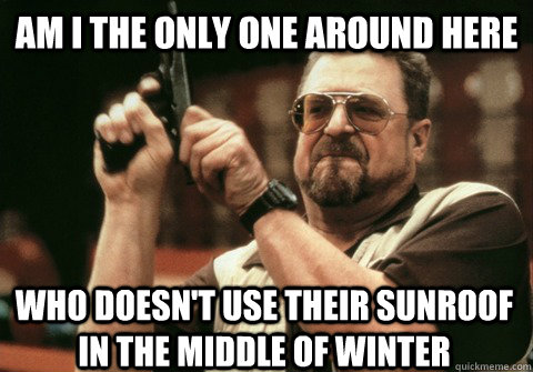 Am I the only one around here who doesn't use their sunroof in the middle of winter - Am I the only one around here who doesn't use their sunroof in the middle of winter  Am I the only one