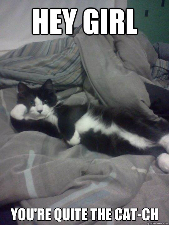 Hey Girl You're quite the Cat-ch - Hey Girl You're quite the Cat-ch  Seductive Cat